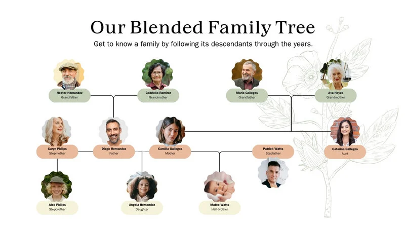 Visual representation of a blended family tree — helpful for understanding eligibility under the family sponsored visa Australia pathway.